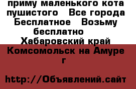 приму маленького кота пушистого - Все города Бесплатное » Возьму бесплатно   . Хабаровский край,Комсомольск-на-Амуре г.